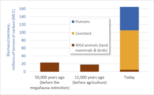 Graph of biomass of humans, livestock, and wild animals